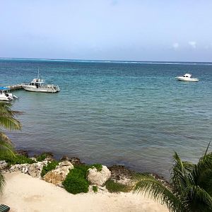 View from the condos