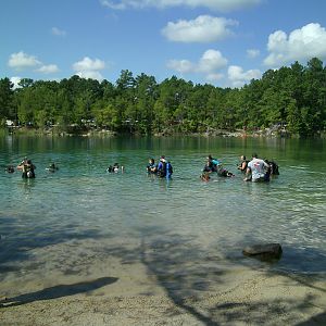 Divers in the water