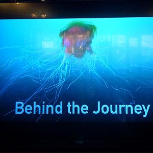 September 2016 - Awesome stories!