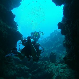 Cajun Diver - Grand Cayman