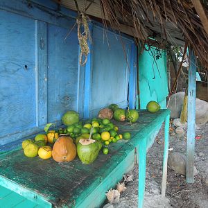 You put the lime in the coconut
