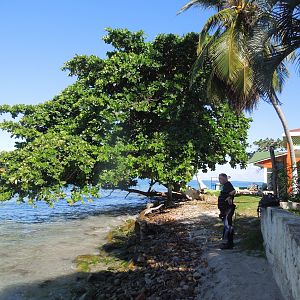 waiting by the almond tree for the dive boat