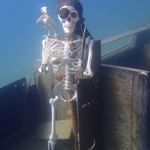 Arrrgh
