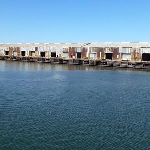 Houston Ship Channel Tour