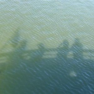 Houston Ship Channel Tour