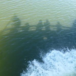 Houston Ship Channel Tour