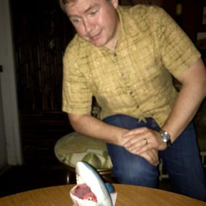 Shaaaaark!
