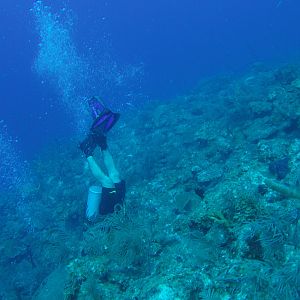 26 - Down The Chimney