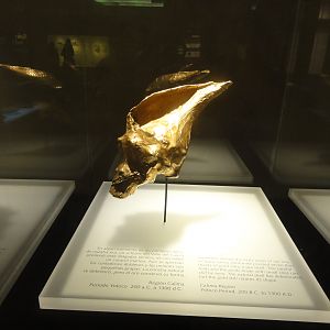 66 - Gold Conch In Museo Del Oro In Bogota