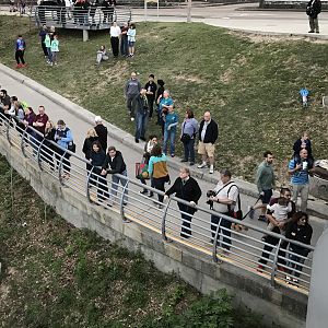 How many CHUMmers can you spot?