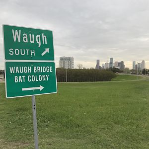 In the shadow of downtown