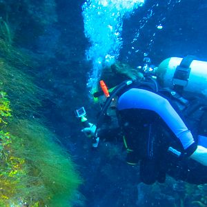 Ms KJenn Dives GoProing  6109