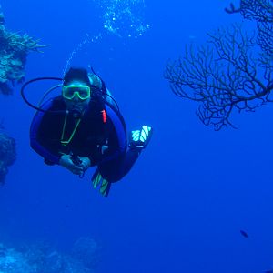 Ms KJenn Dives On Palancar Horseshoe 5841