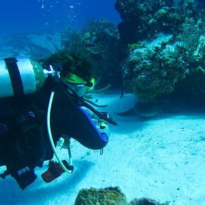 Ms KJenn Dives With Nurse Shark 5935
