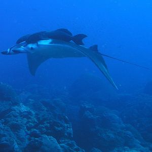 look who came to check us out