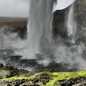 Misty Basin