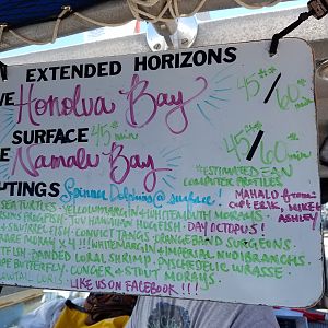 2017 0924 Maui Day1 DiveBoard