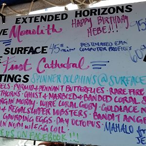 2017 0925 Maui Day2 DiveBoard