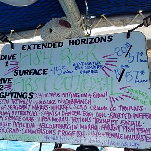 2017 0927 Maui Day3 DiveBoard Wet