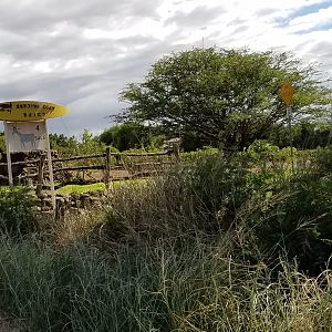 2017 0926 Maui SurfingGoatSign