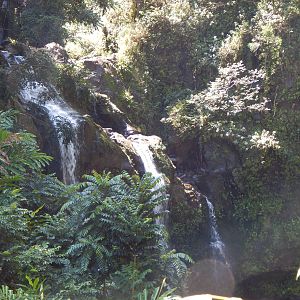 2017 1001 Maui Hana 3Bears5