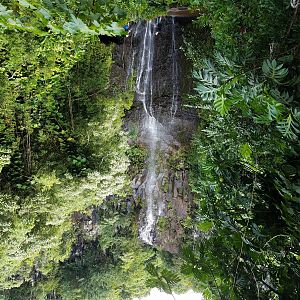 2017 1001 Maui Hana Falls10