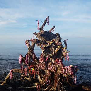 2017 1001 Maui TreeMemorialWithLeis3