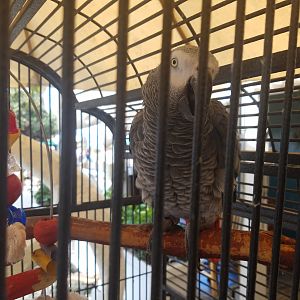 2017 1002 Maui PioneerInn Alex