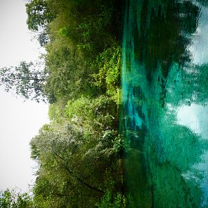 Ichetucknee springs