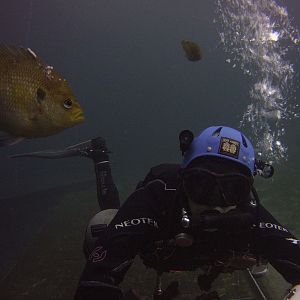The standoff at Blue Grotto