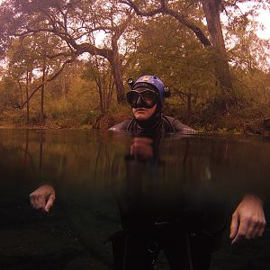 Reflections