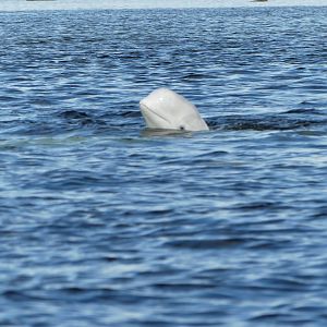 I've got my eye on you