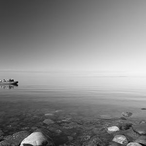 Waiting for the Belugas