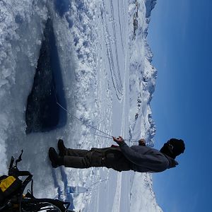 Fishing for Divers
