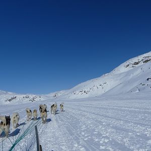Off into the wide blue and white yonder