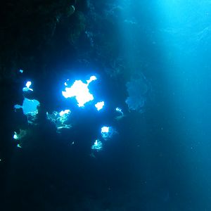 Hawaii First Cathedral-7599