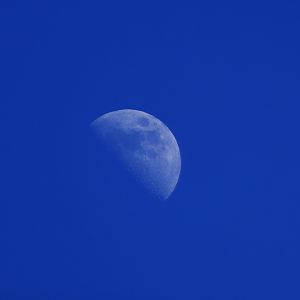 Mid day moon