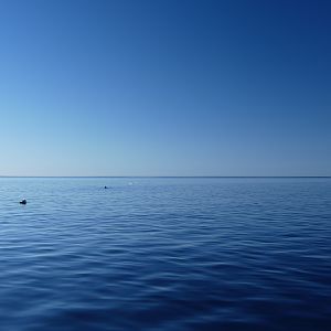 Tracy, Uli and a whale