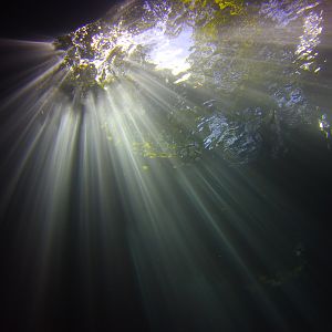 Light in a cenote