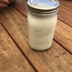 we made our own coconut milk
