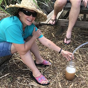 wanderwoman collecting sugarcane squeezins