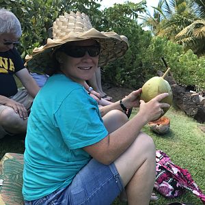 coconut water, straight from the tree