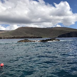 Cathedral dives, Lanai.  Topside.