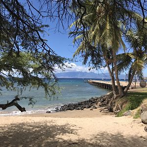 not a bad place for a shore dive