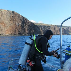 Hawaii Fish Rock DM Mikhail-7464