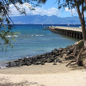 Hawaii Mala Pier For Shore Dive-7243