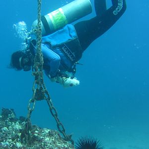 Hawaii Pu-u Olai Wanderwoman And Wet With Frogfish-7455