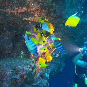 Hawaii Second Cathedral DM Ashley Highlighting The Eggs-7224