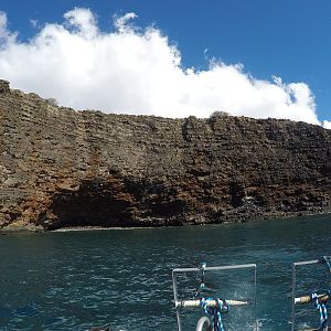 4 Lava Rock From Dive Boat