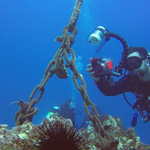 9 SB And Frogfish